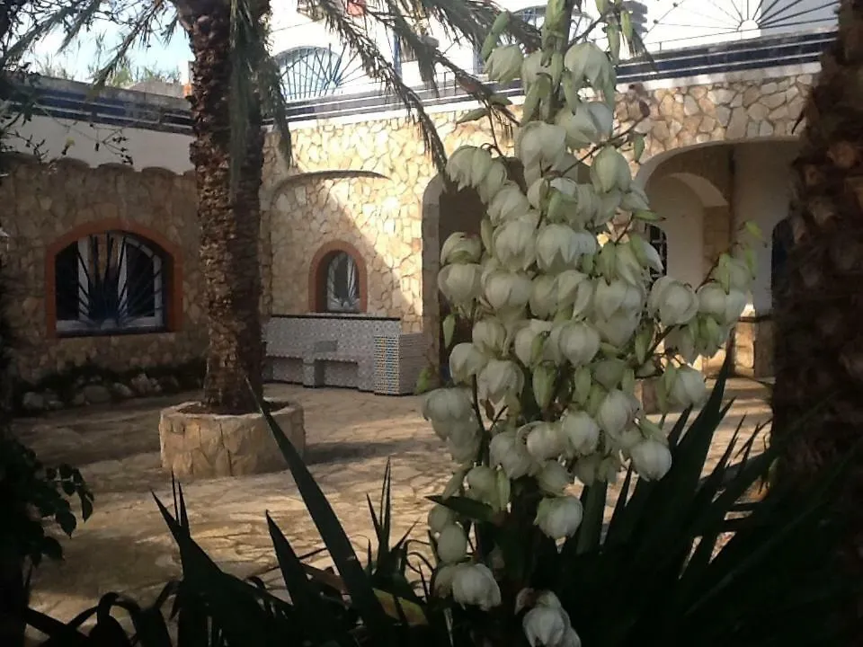 Hotel Pao Blau Pau Affittacamere